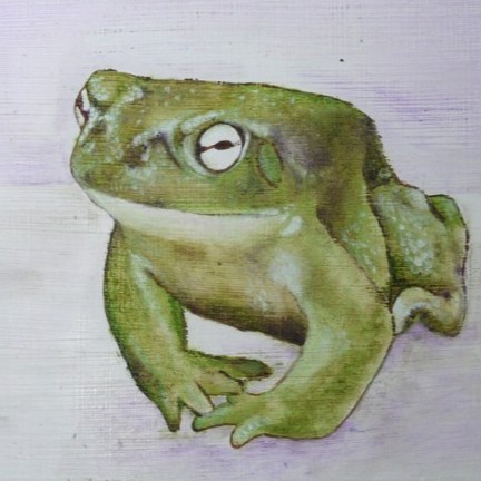 Acrylbild eines grünen Frosches vor rosa Hintergrund